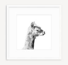 Load image into Gallery viewer, Joe - Christine Mueller Photography