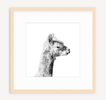 Load image into Gallery viewer, Joe - Christine Mueller Photography