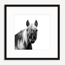 Load image into Gallery viewer, Hey, Dude - Christine Mueller Photography