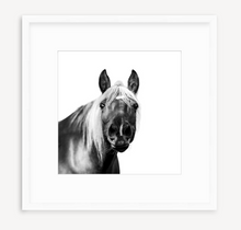 Load image into Gallery viewer, Hey, Dude - Christine Mueller Photography