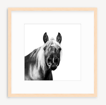 Load image into Gallery viewer, Hey, Dude - Christine Mueller Photography