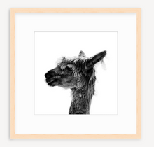 Load image into Gallery viewer, Jaylene - Christine Mueller Photography
