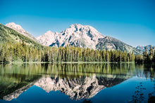 Load image into Gallery viewer, Reflections - Christine Mueller Art