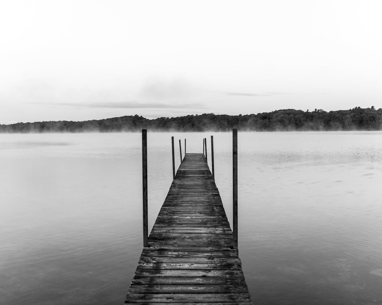 Morning Fog - Christine Mueller Photography