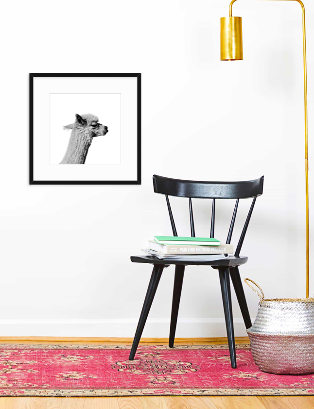 Buster - Christine Mueller Photography