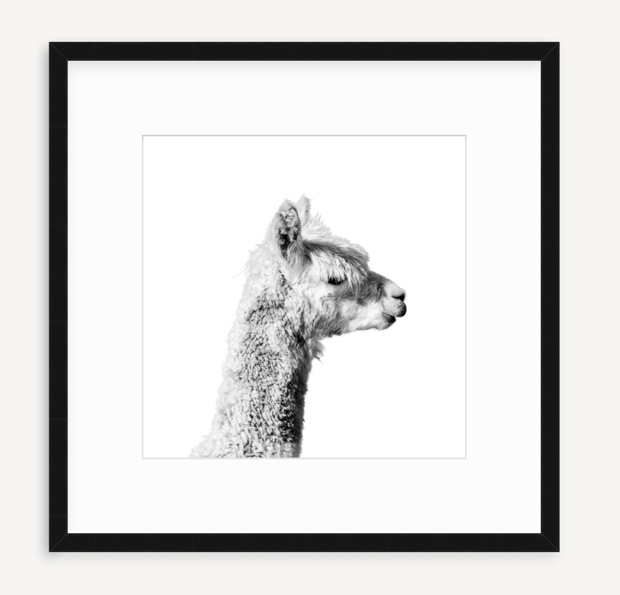 Joe - Christine Mueller Photography