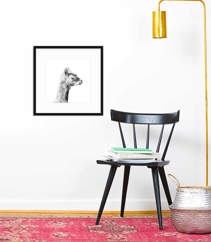 Joe - Christine Mueller Photography