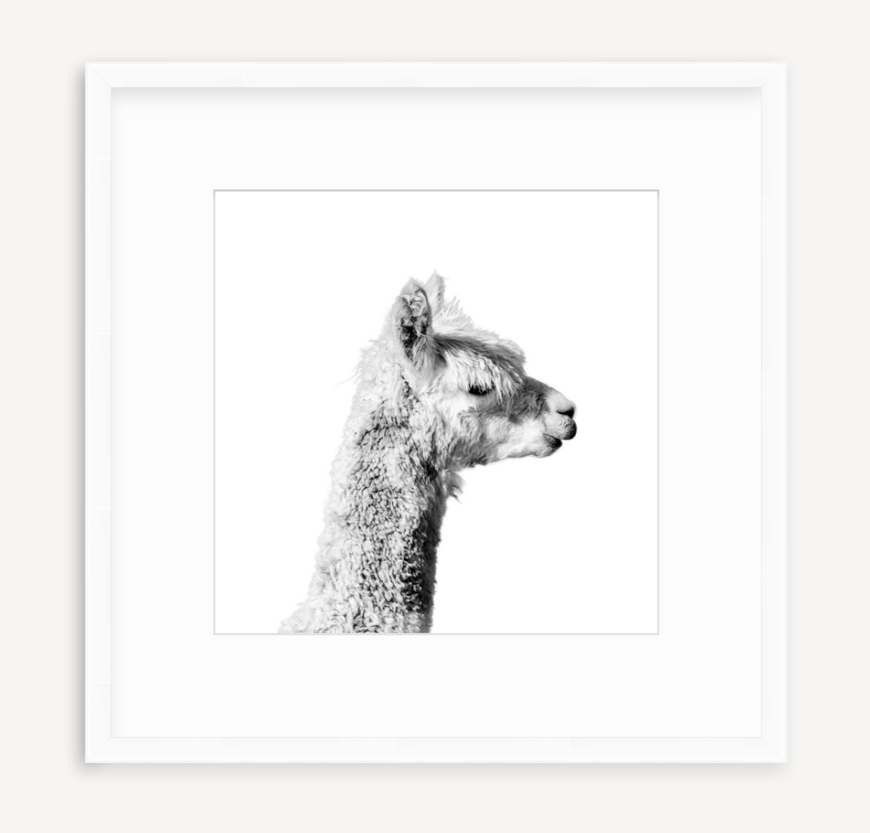 Joe - Christine Mueller Photography