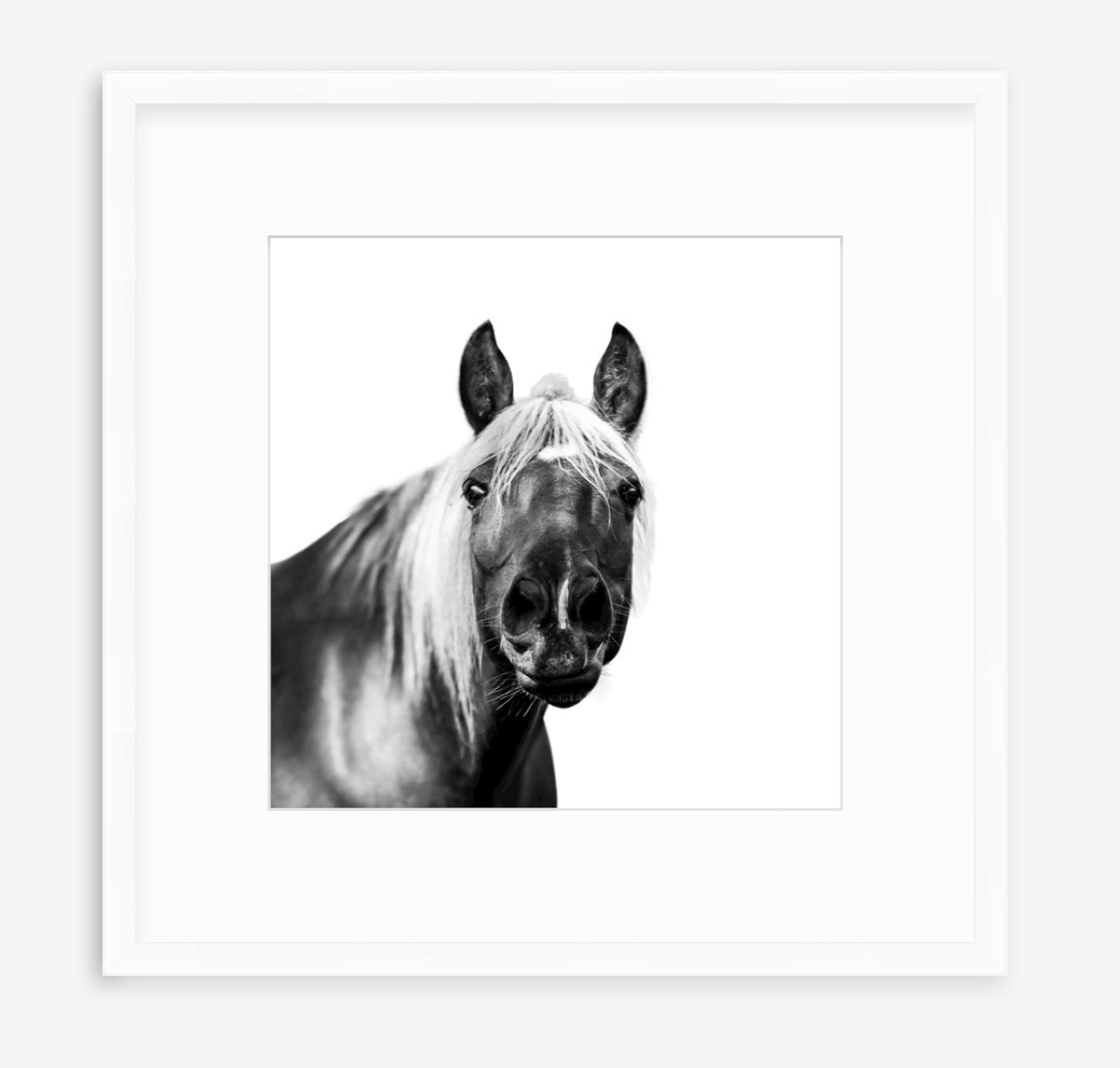 Hey, Dude - Christine Mueller Photography