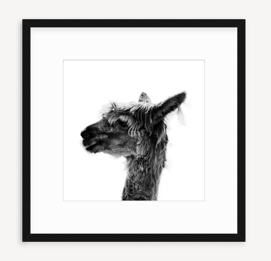 Jaylene - Christine Mueller Photography