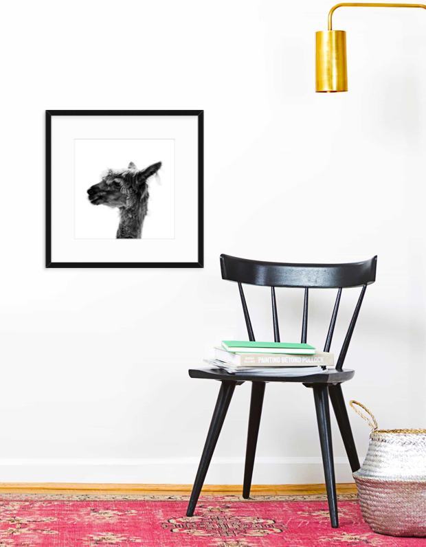 Jaylene - Christine Mueller Photography