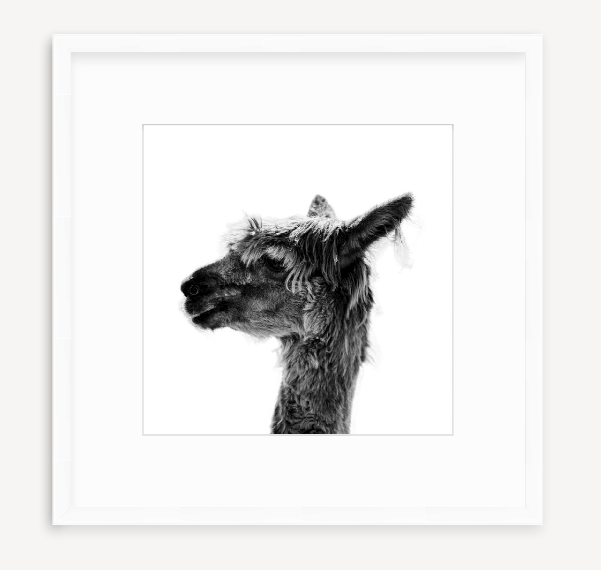 Jaylene - Christine Mueller Photography