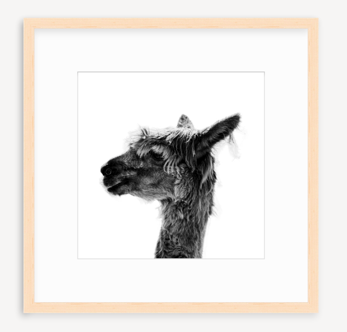 Jaylene - Christine Mueller Photography