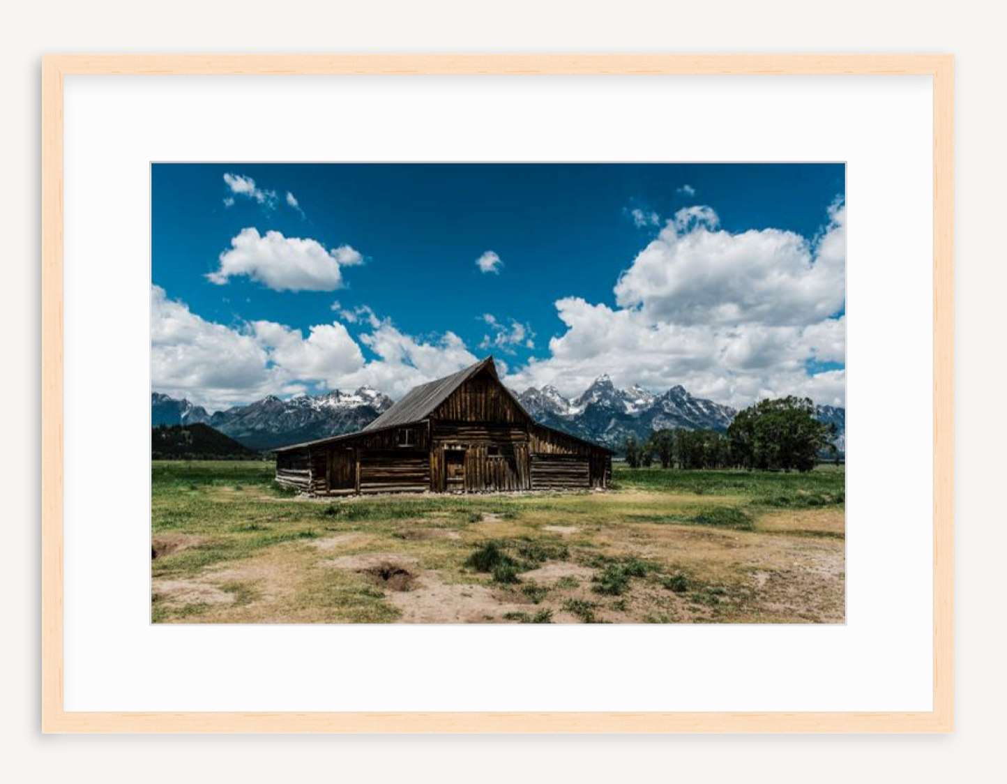 Homestead House - Christine Mueller Art