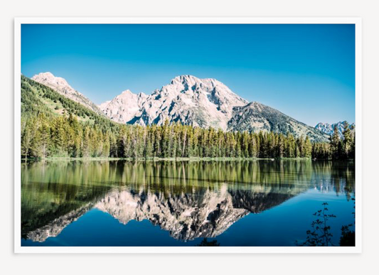 Reflections - Christine Mueller Art