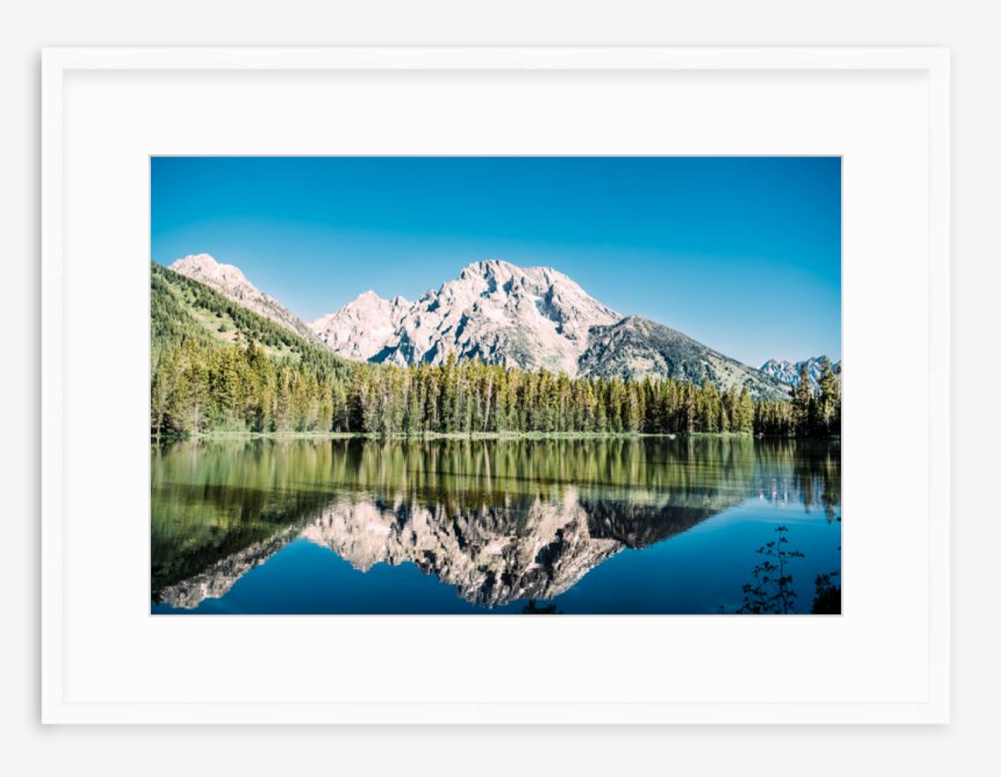 Reflections - Christine Mueller Art