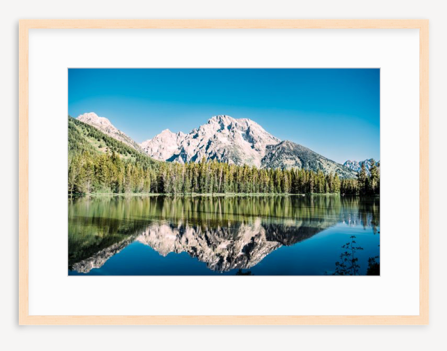 Reflections - Christine Mueller Art