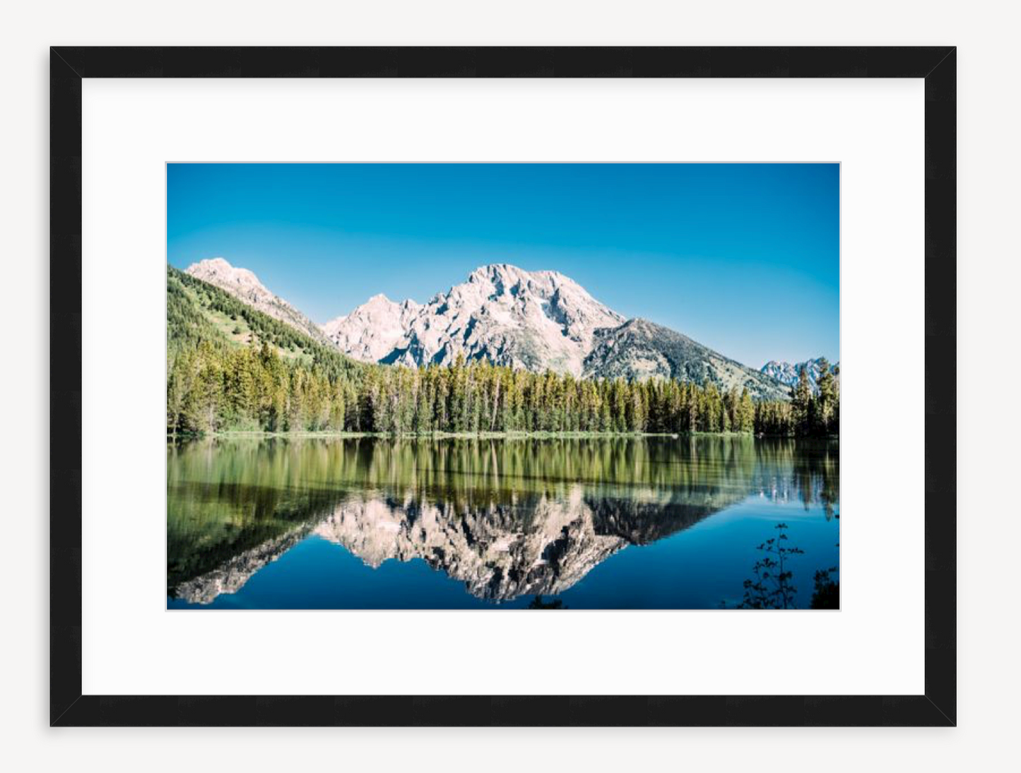 Reflections - Christine Mueller Art