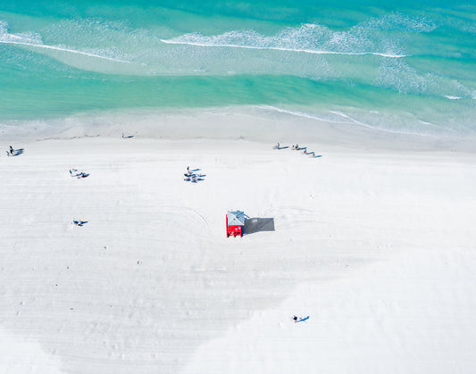 Morning Walks | Florida Spring Break - Christine Mueller Art