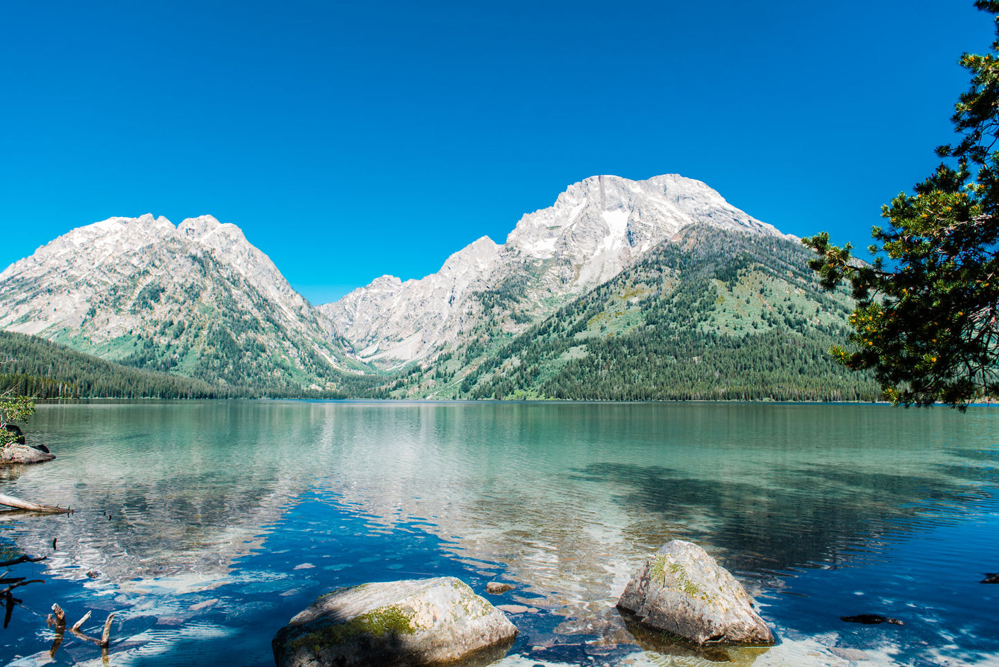 String Lake - Christine Mueller Art