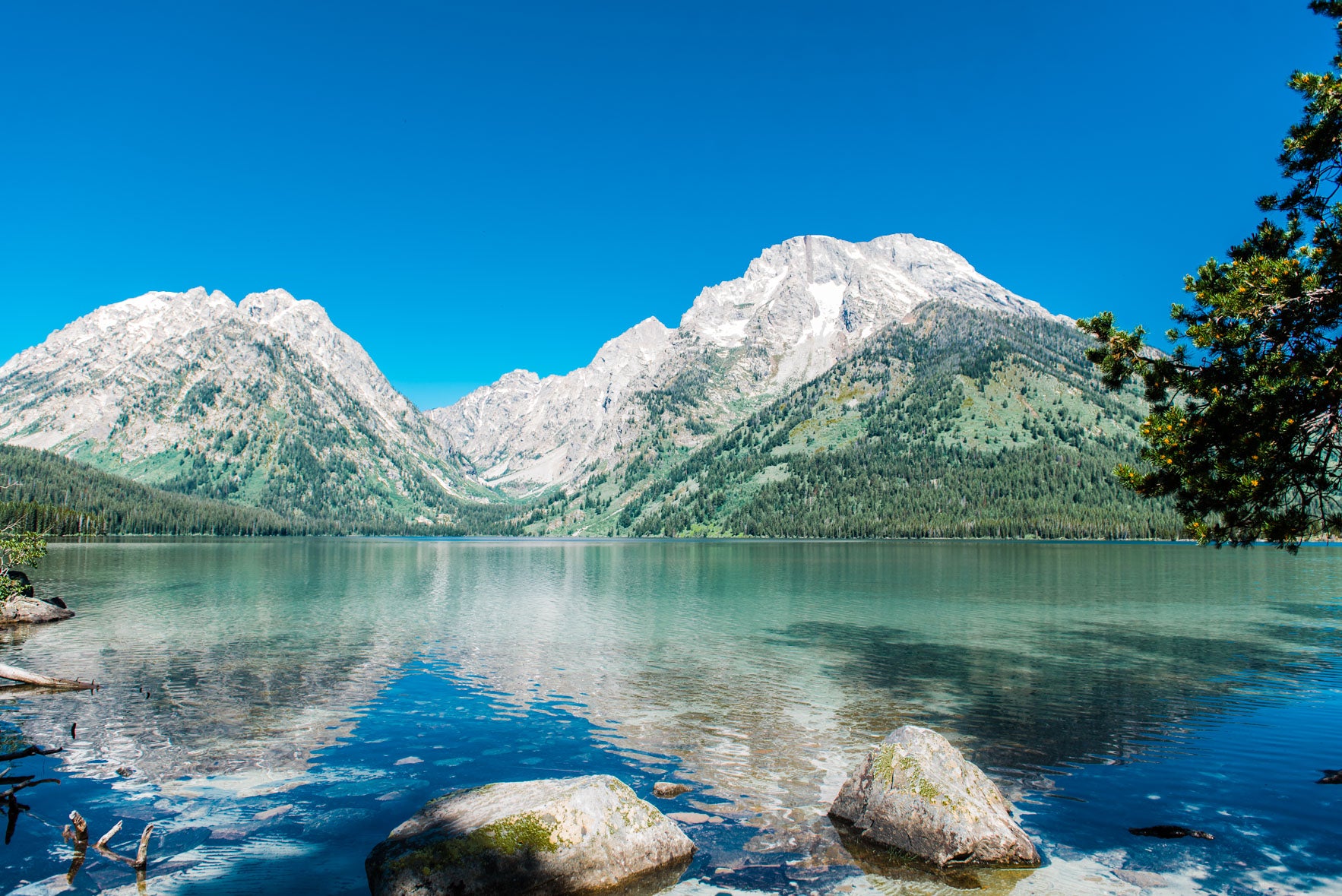 String Lake - Christine Mueller Art