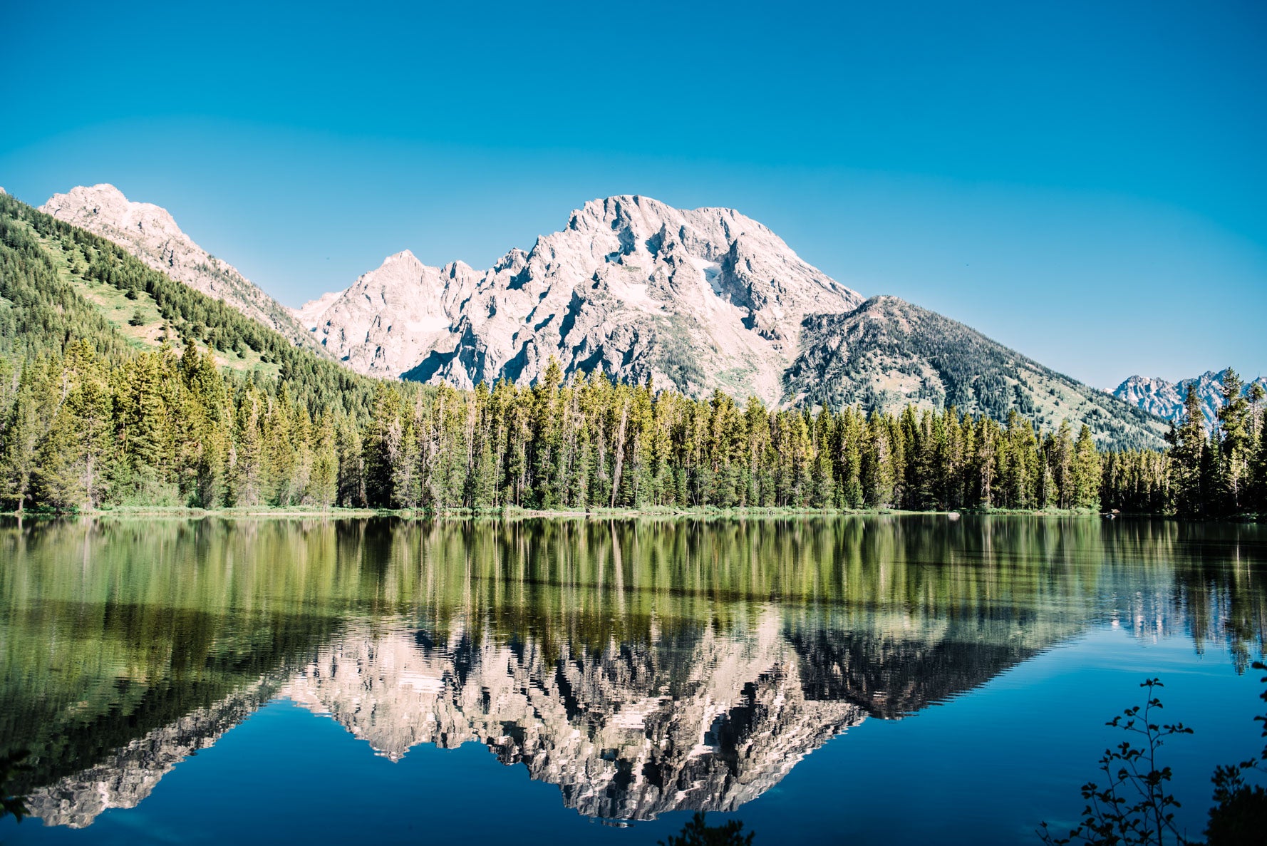 Reflections - Christine Mueller Art